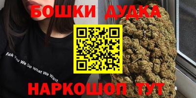 сатива Конаково