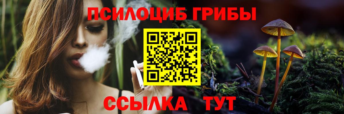 Лысьва  Галлюциногенные грибы Cubensis  Вход с VPN 